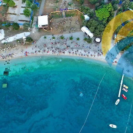 Pina 2018 * Pula